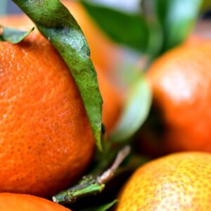 image 1699310556 scaled