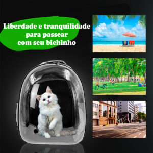 produto 17008003476560275b43efd