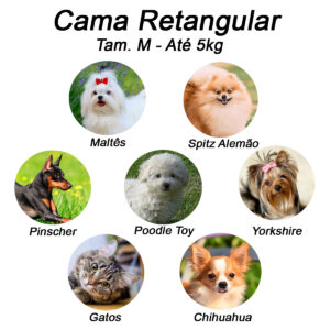 produto 172806862067003c0cb5ca5