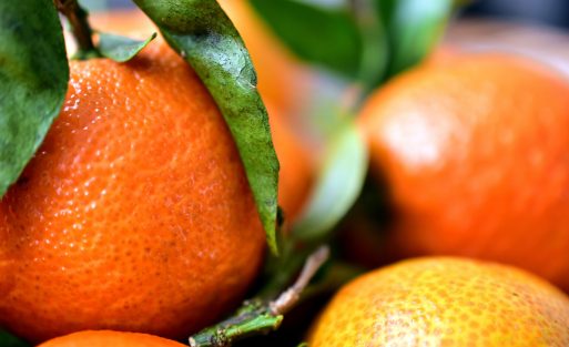 image 1699310556 scaled